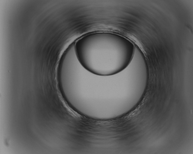 X0000094921128200711291016