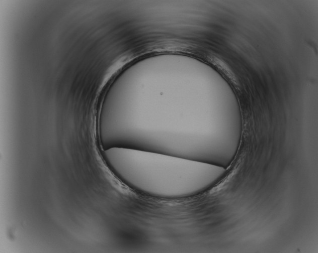 X0000094921130200711291016