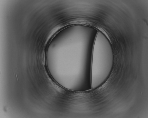X0000094921131200711291016