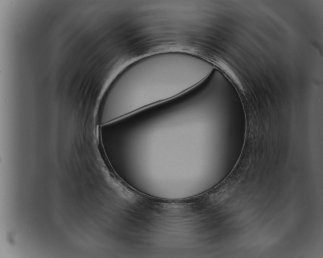X0000094921132200711291016