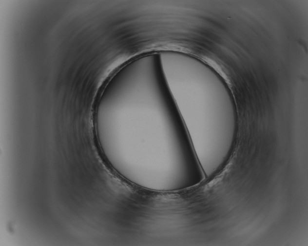 X0000094921133200711291016