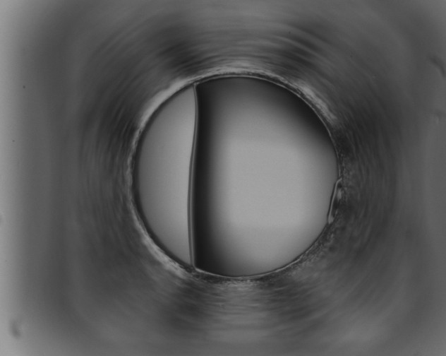 X0000094921134200711291016
