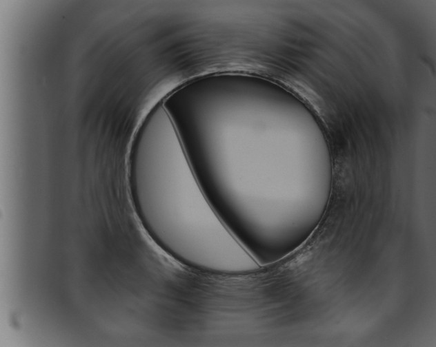 X0000094921135200711291016