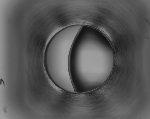 X0000094921136200711291016