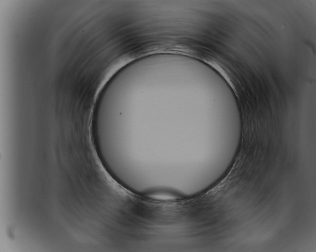 X0000094921139200711291016