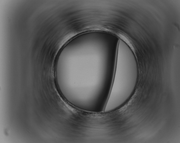 X0000094921141200711291017
