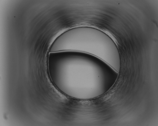 X0000094921142200711291017