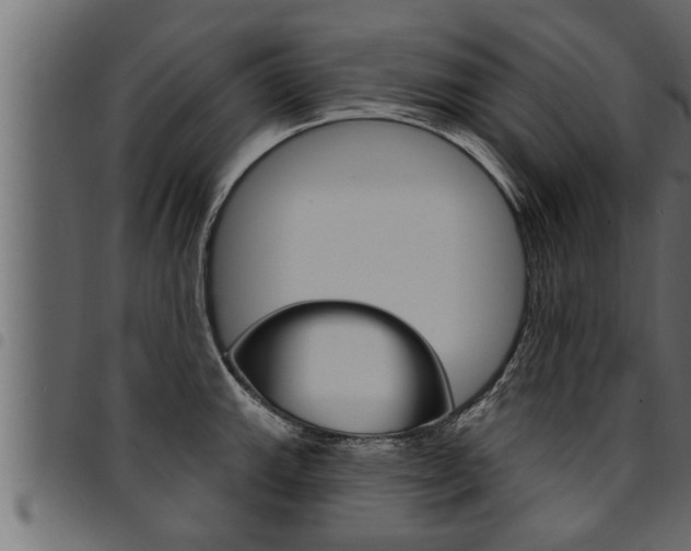 X0000094921143200711291017