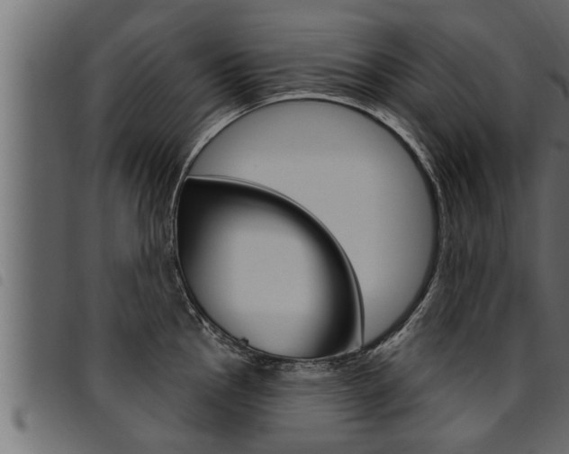 X0000094921145200711291017