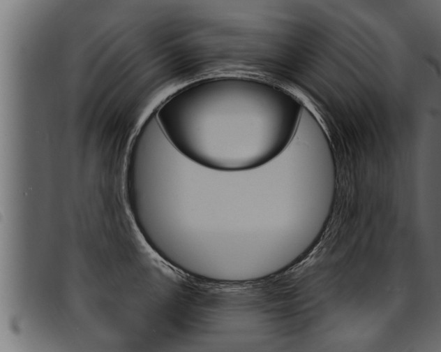 X0000094921147200711291017