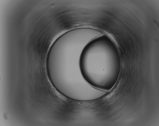 X0000094921149200711291017