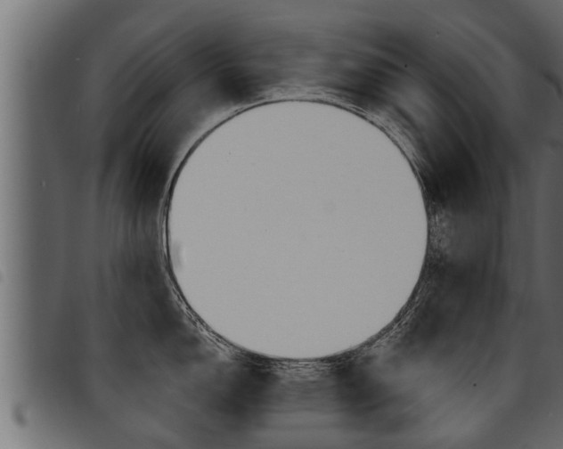 X0000094921150200711291017