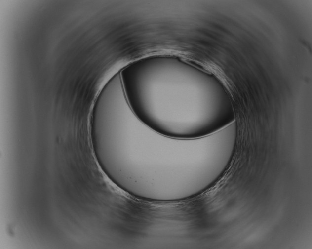 X0000094921151200711291017