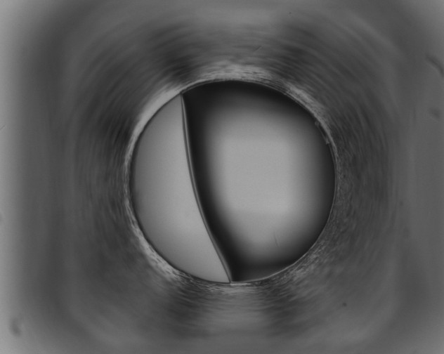 X0000094921152200711291017