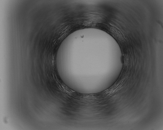 X0000094921154200711291016
