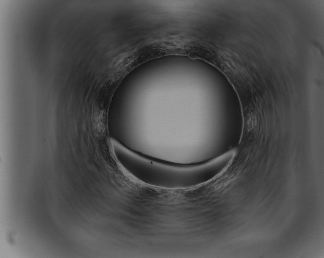 X0000094921156200711291016