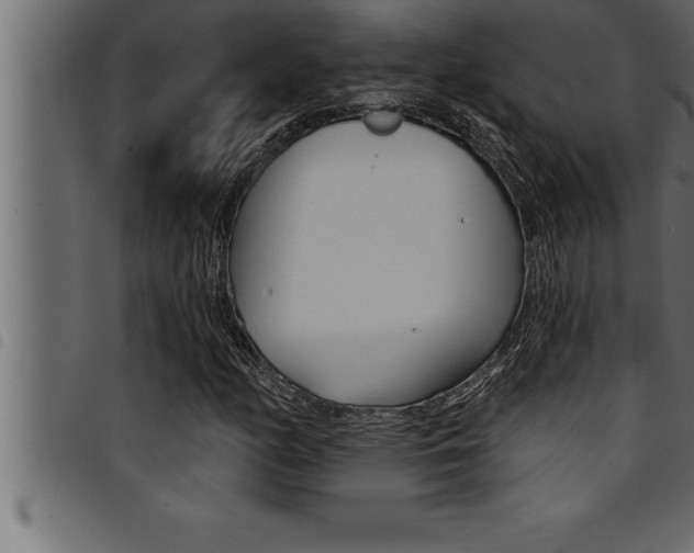X0000094921158200711291016