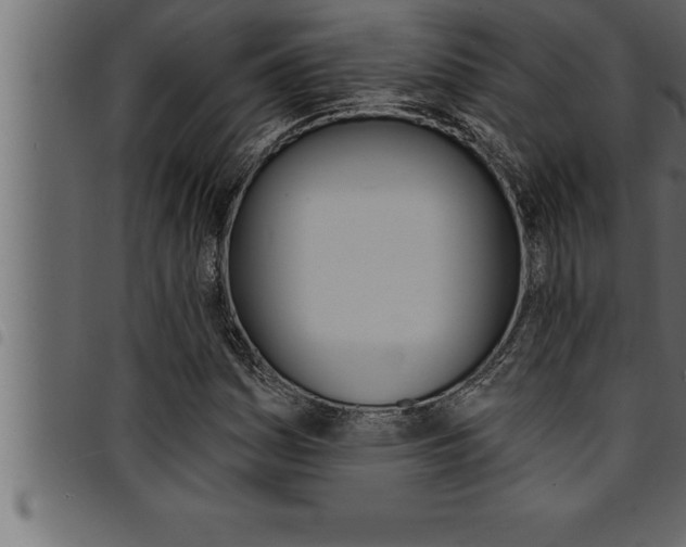 X0000094921161200711291016