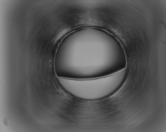 X0000094921163200711291016