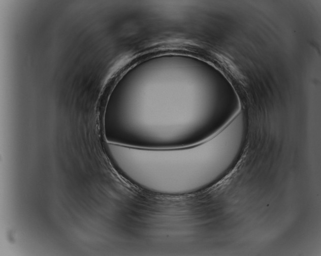 X0000094921164200711291016
