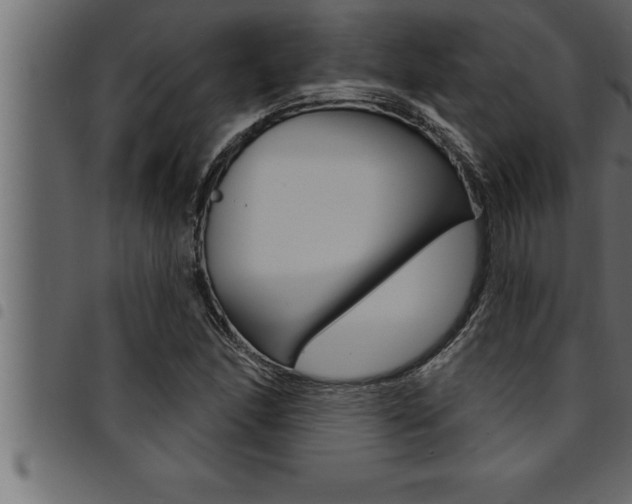 X0000094921166200711291016