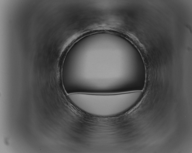 X0000094921167200711291016
