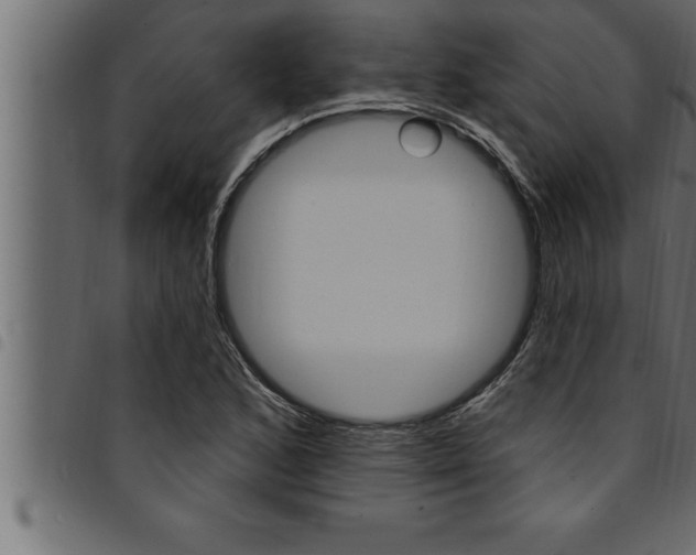 X0000094921168200711291016
