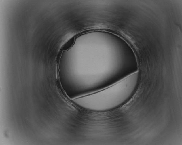 X0000094921171200711291016