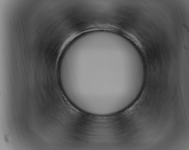 X0000094921172200711291016