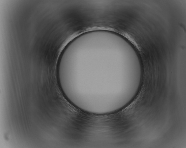 X0000094921173200711291016