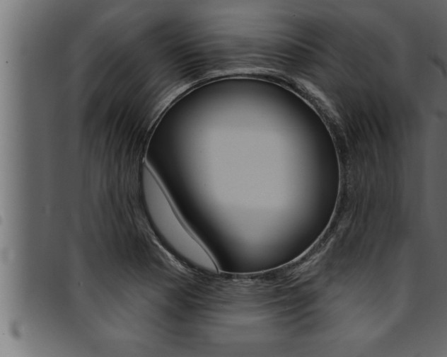X0000094921177200711291016