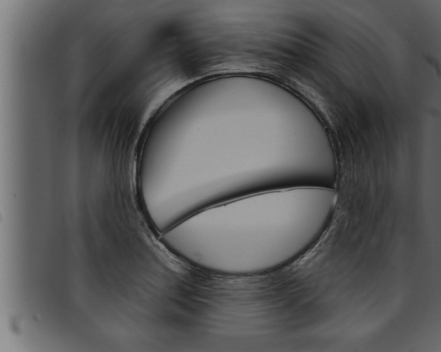 X0000094921179200711291015
