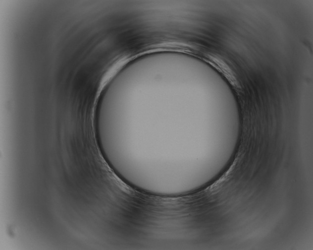 X0000094921180200711291015