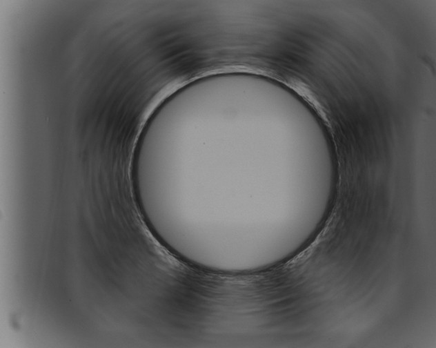 X0000094921181200711291015