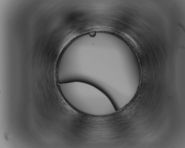 X0000094921182200711291015