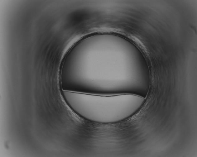 X0000094921183200711291015