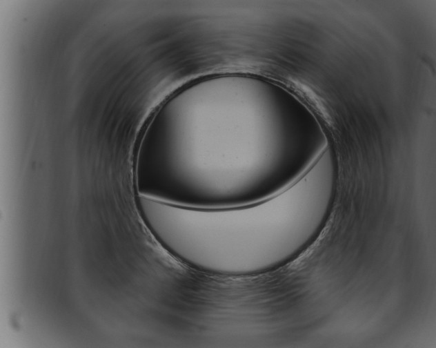X0000094921184200711291015