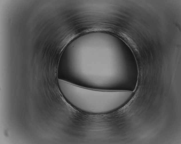X0000094921185200711291015