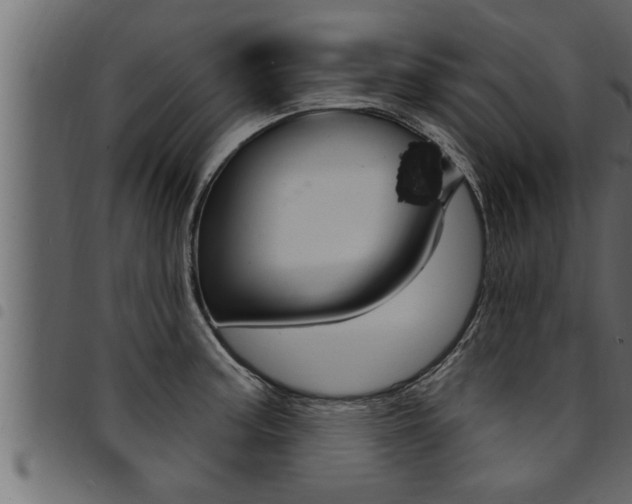 X0000094921187200711291015