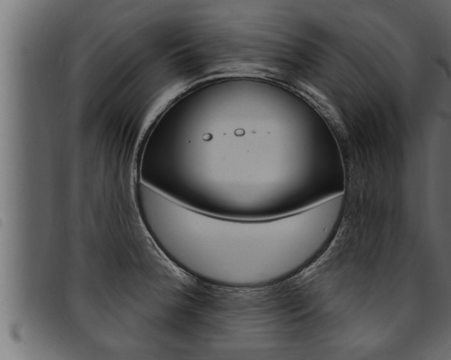 X0000094921188200711291015