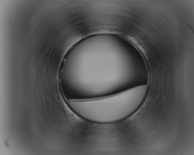X0000094921189200711291015