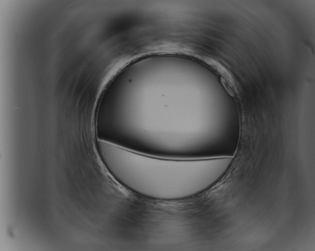 X0000094921191200711291015