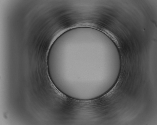 X0000094921192200711291015