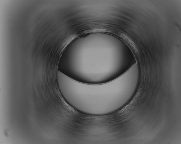X0000094921193200711291015