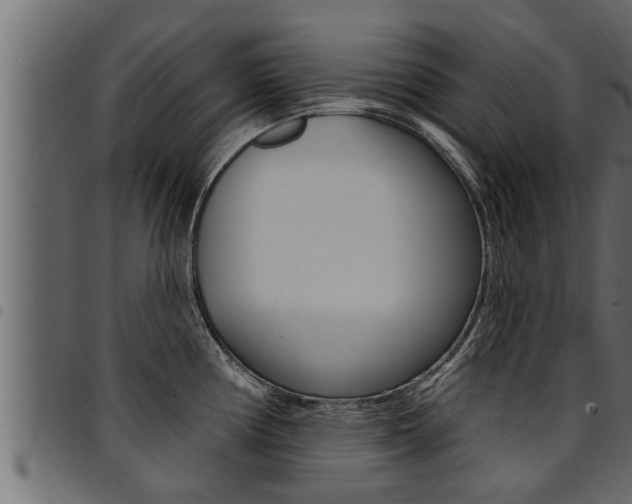 X0000094921194200711291015