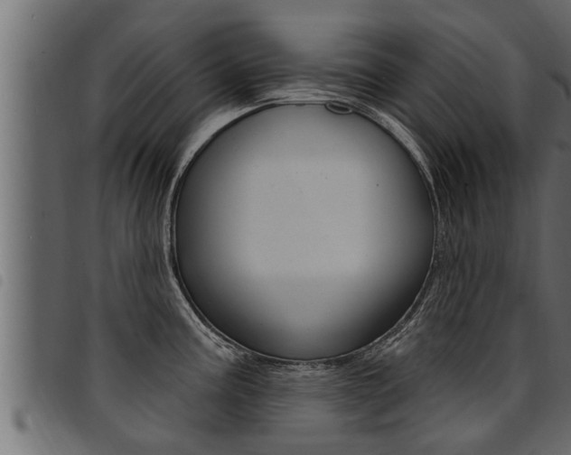 X0000094921195200711291015