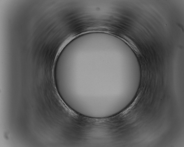 X0000094921196200711291015