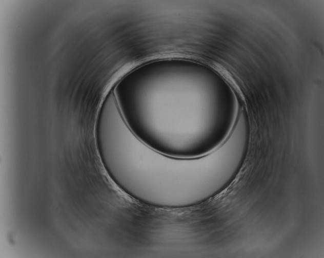 X0000094921197200711291015