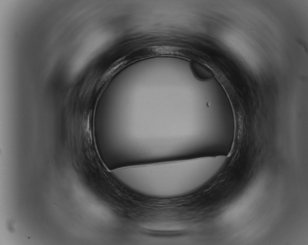 X0000094921198200711291015
