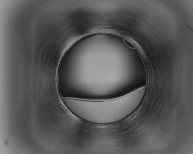 X0000094921199200711291015
